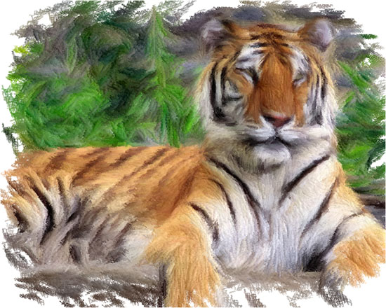 Tiger done with 3D settings 1