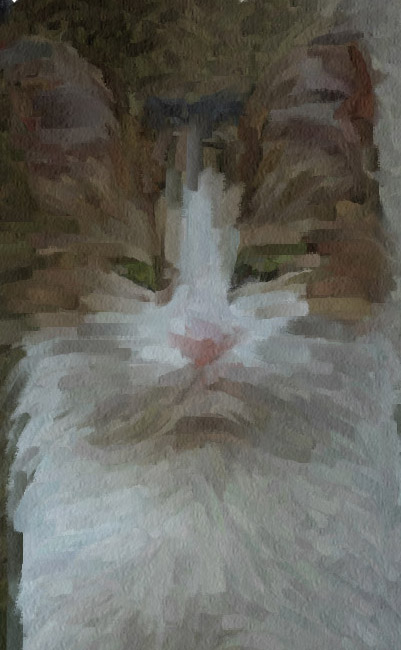 Cat Painting Stage two